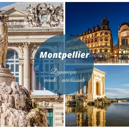 Cap Sur Le Sud * Vue Mer * Clim * Parking * Wifi * Couchant * La Grande-Motte Exterior photo