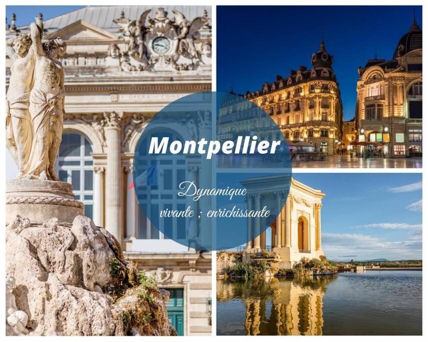 Cap Sur Le Sud * Vue * Clim * Parking * Wifi * Couchant * * La Grande-Motte
